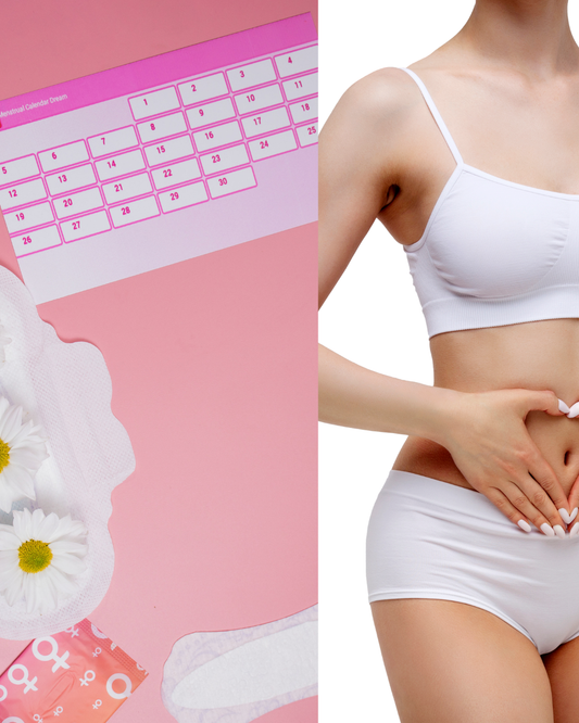 Calendrier menstruel permettant de suivre les règles, l'ovulation et les différentes phases du cycle féminin
